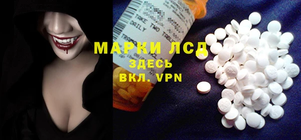 ПСИЛОЦИБИНОВЫЕ ГРИБЫ Белокуриха