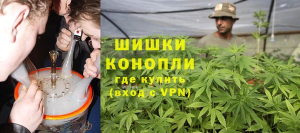ПСИЛОЦИБИНОВЫЕ ГРИБЫ Белокуриха