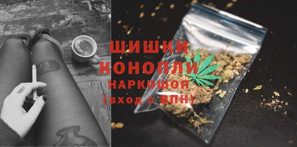 ПСИЛОЦИБИНОВЫЕ ГРИБЫ Белокуриха