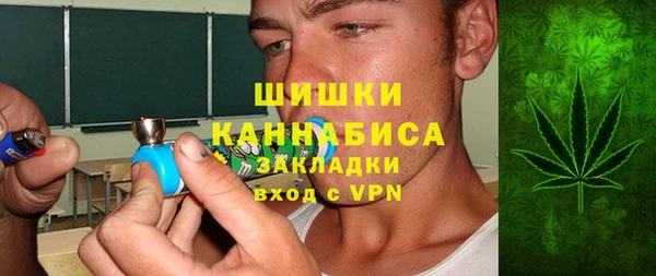 ПСИЛОЦИБИНОВЫЕ ГРИБЫ Белокуриха