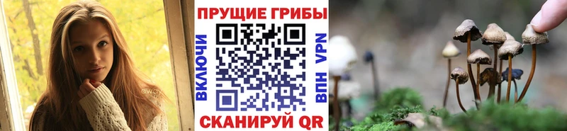 Галлюциногенные грибы ЛСД  Волчанск 